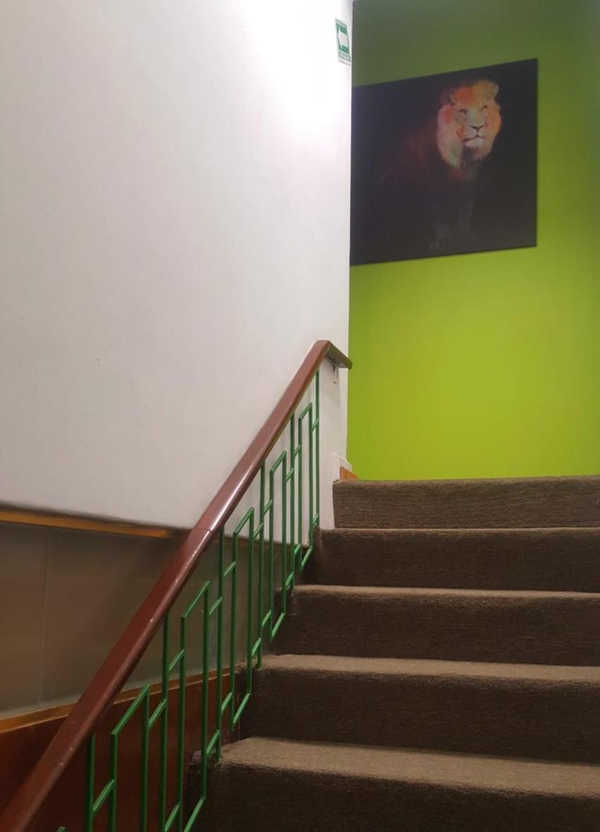墨西哥城 Mi Aldea Holistica酒店 外观 照片