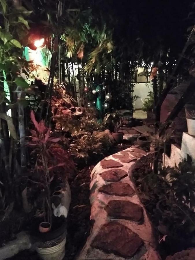 墨西哥城 Mi Aldea Holistica酒店 外观 照片